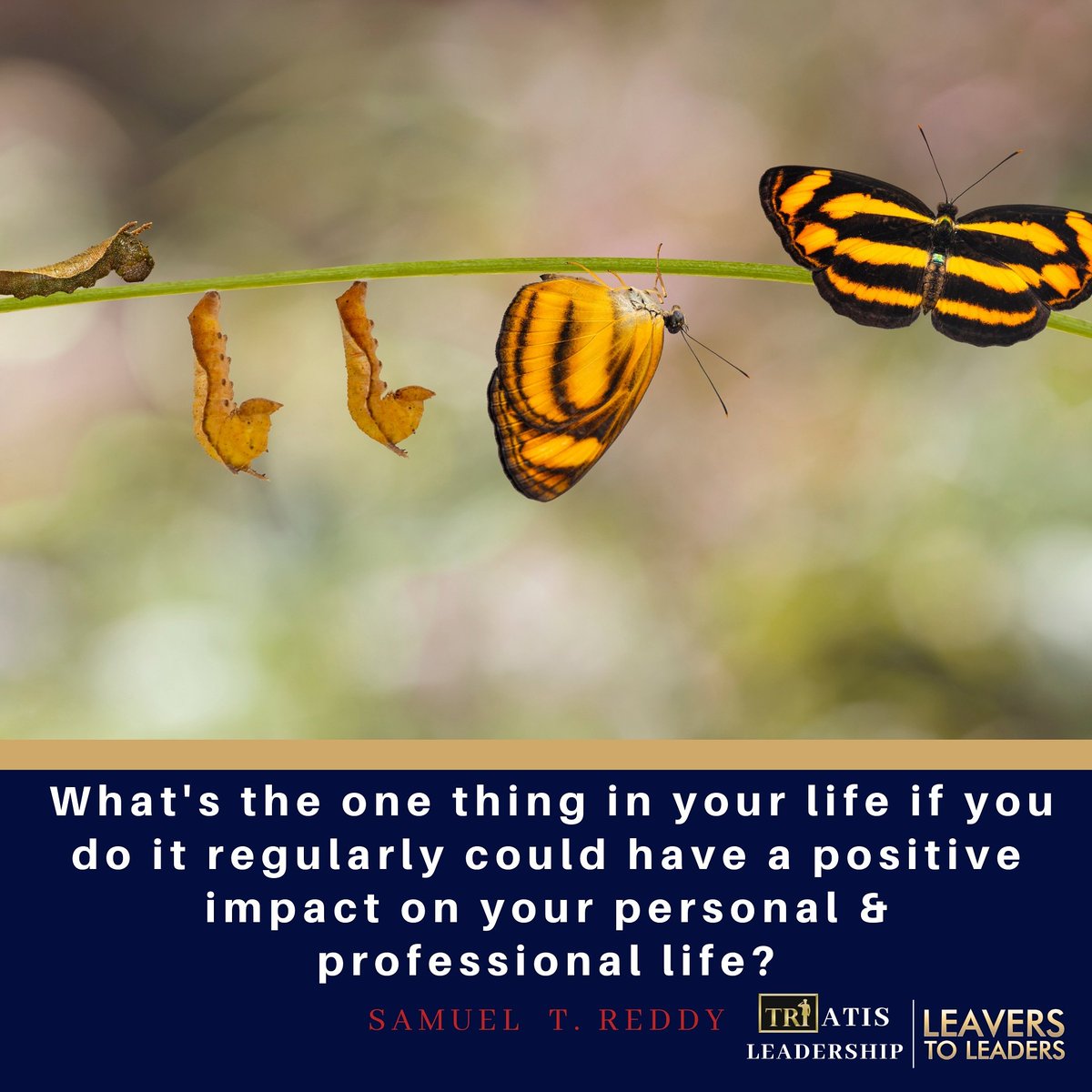 TriAtisGlobal's tweet photo. What's the 'One Thing' you can do to  positively and improve your personal &amp; professional life? #personaldevelopment #personalgrowth #Careerdevelopment #professionaldevelopment #change #leaverstoleaders #L2L https://t.co/gBGVpt37Pd