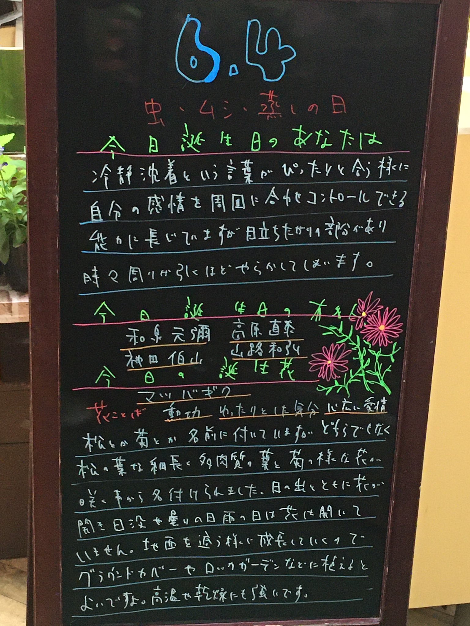 砂漠の宝石 Twitter Search Twitter