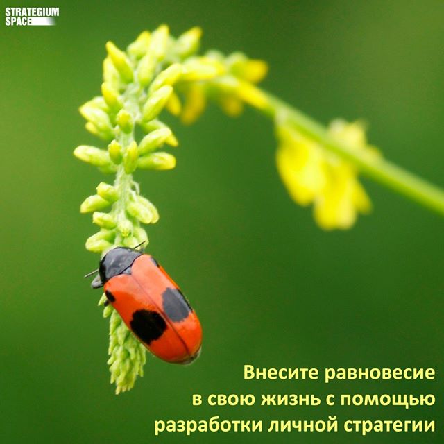 Представляю, какую встряску вы сейчас испытываете. Возможно это растерянность или даже паника. Но если у вас есть долгосрочный личный стратегический план, то даже такие серьёзные изменения вашей жизни, смогут внести лишь…

📸 instagram.com/p/CBARy6HlJbk/ via tweet.photo