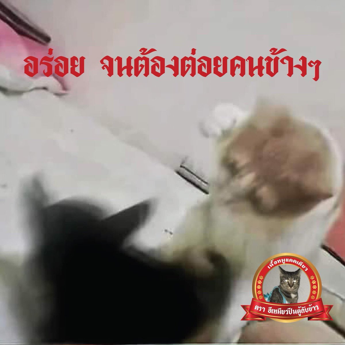 รีวิวหมูแดดเดียว