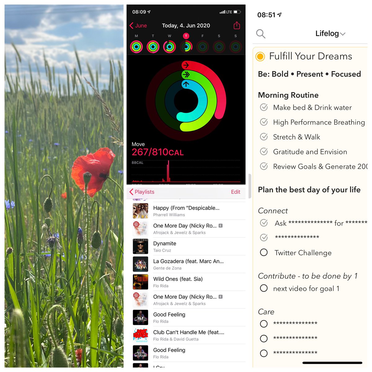 Feeling fully pumped up while preparing for my life in pictures challenge. <a href="/SocietiesHybrid/">HybridSocieties</a>