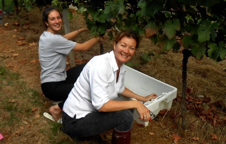 Even if you can't get to Cornwall at the moment you could buy Cornish wine. Here are 5 reasons why you should from <a href="/Polgoon/">Polgoon Vineyard</a>, the first UK winery to make a single estate sauvignon blanc buff.ly/3ds27am #englishwine #5reasons