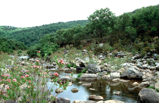 <a href="/Q_CLIMA/">Q_CLIMA</a> presentará en el IX Congreso Ibérico de Gestión y Planificación del Agua los resultados del estudio sobre la planificación hidrológica en lo referente a caudales ecológicos en hábitats fluviales protegidos. <a href="/FNCAgua/">Nueva Cultura Agua</a> <a href="/mitecogob/">Transición Ecológica y Reto Demográfico</a> <a href="/Teresaribera/">Teresa Ribera</a> <a href="/riosconvida/">Ríos con Vida</a> <a href="/Cirefluvial/">Centro Ibérico de Restauración Fluvial - CIREF</a>