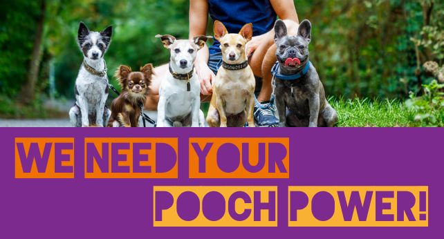 get your dogs involved in running for freedom! We need your furry friends to help us reach our 40,000km goal running during the pandemic, whilst helping us to continue our vital work supporting LGBTQI+ refugees.

#dogsoftwitter #lockdowndogs #EqualityForAll