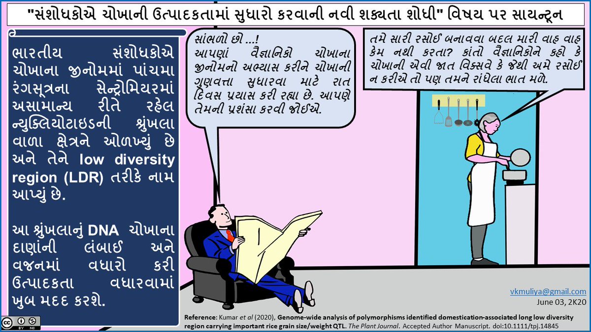 vkmuliya's tweet photo. Scientoon on "Researchers find... rice productivity" published in @ThePlantJournal, reported in @indianscinews of @VigyanPrasar. A small video is prepared by me on the same research. https://t.co/2xmTW0dEkQ. 
#scicomm #Scientoon #Genomics #IARI #DBTindia https://t.co/voqImcGnzF