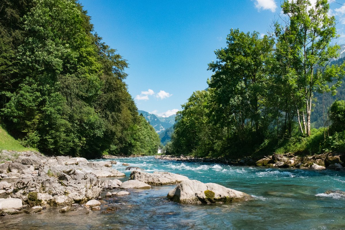 STMediaCH's tweet photo. Lachen ist gesund! Ein Geheimtipp: Wie wärs mit dem #Witzwanderweg im #Muotatal! 25 "Lach-Stationen" mit träffen und humorvollen Sprüchen auf dem Uferweg entlang der wild rauschenden Muota!
#wirbrauchenschweiz
@ilovelucerne #SchwyzTourismus
https://t.co/ciq640DobY https://t.co/nA2IH7dJXP