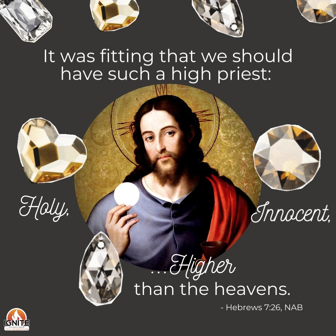 igniteyea's tweet photo. Today is the Feast of Christ the Eternal High Priest. All priests act as a bridge between God and humans, but Jesus does this perfectly, as He is perfect. Pray our earthly priests may strive to follow His example!

#ignite #igniteteam #priests #christthehighpriest @RCEastAnglia https://t.co/FNRoH4xHQP