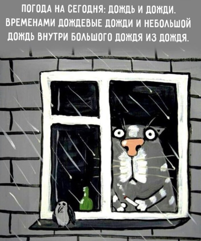 Свинторжицкий Захар tweet media