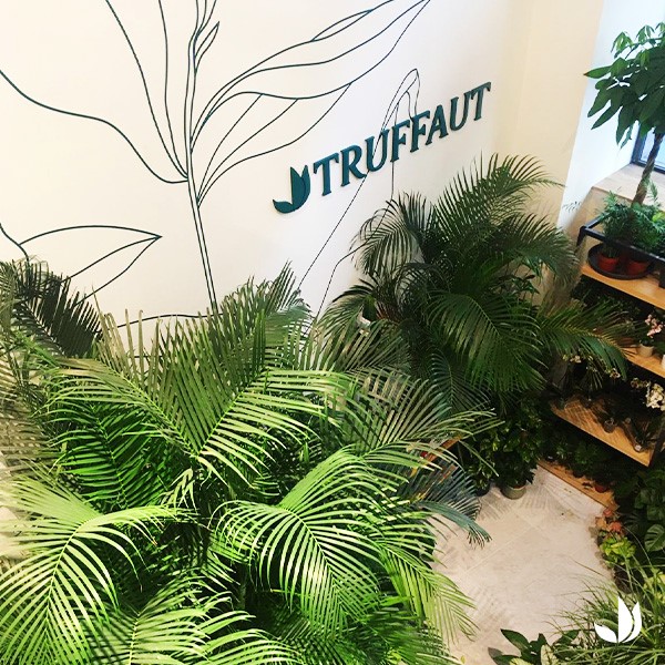 Truffaut pose ses valises au <a href="/leBHVmarais/">LE BHV MARAIS</a> pour inonder la ville de végétal 🌿 Retrouvez toutes vos plantes préférées en plein cœur de Paris ! #TruffautBHV
Tous les jours de 10h à 19H
📍 55 rue de la Verrerie 75004 Paris