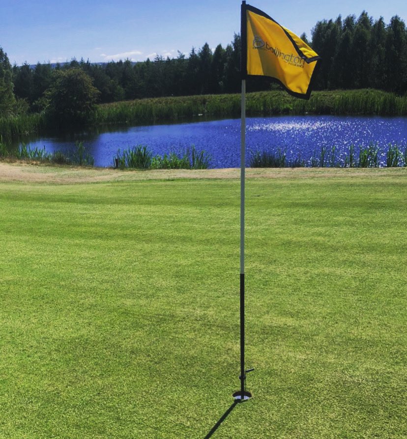 PrecisionGo1f's tweet image. GOLF HOLE BALL LIFTERS.. made in the UK. In stock next day delivery available. 👍