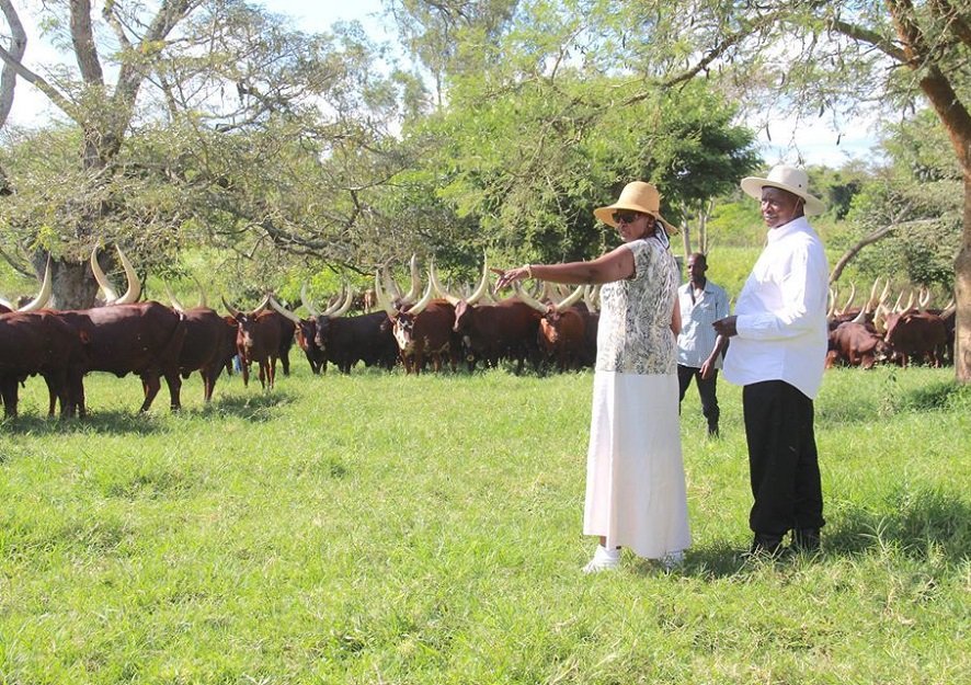 DailyMonitor's tweet photo. “The son of Mr Warren Buffett whom they claim to be 2nd richest man in the world came to visit me in Kisozi. I asked him how many cattle his father had and he said he didn’t have. I had never seen a rich man without cattle”  ~
@KagutaMuseveni
 #SoNAddress #MonitorUpdates https://t.co/j1J9N2Z45v