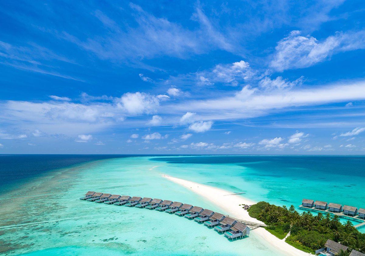 Koamas_Escapes's tweet photo. The bright land and water villas are scattered about the island amidst luxuriant jungle vegetation and set over the crystal-clear lagoon. #KuramathiIslandResort #KuramathiIsland #KuramathiResort #KuramathiMaldives #MaldivesResort #KoamasLuxuryEscapes https://t.co/6It33F7dss https://t.co/RU3S7r82cy