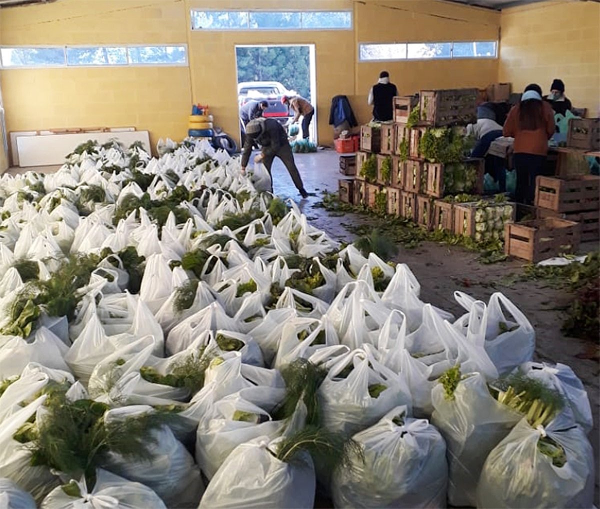 Donaron 13 mil kilos de verduras con las Bolsas Solidarias de la #AgriculturaFamiliar 🥬🥕 Con el acompañamiento del @intaargentina y @CambioRural_II, instituciones intermedias las distribuyen en merenderos, comedores e instituciones de Bahía Blanca. → bit.ly/2AGS17e