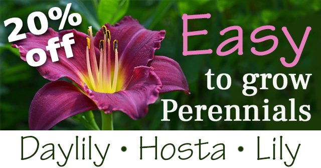 Malmborgs Greenhouse tweet media