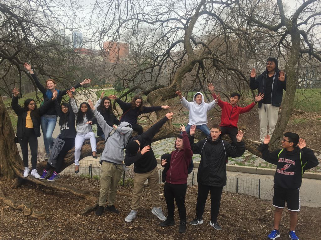 MillenniumBK_HS's tweet photo. Hines Ketchup Advisory  🎓
#mbhsadvisory #SeniorSpotlight #remotelearning #mbhsclassof2020 #ClassOf2020 #mbhstogether #phoenixriseup #nycdoe @BKNorthNYCDOE @NYCSchools https://t.co/cfd81PJ57X