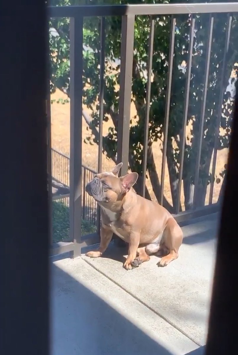 Look at this guy; acting like he owns shit.