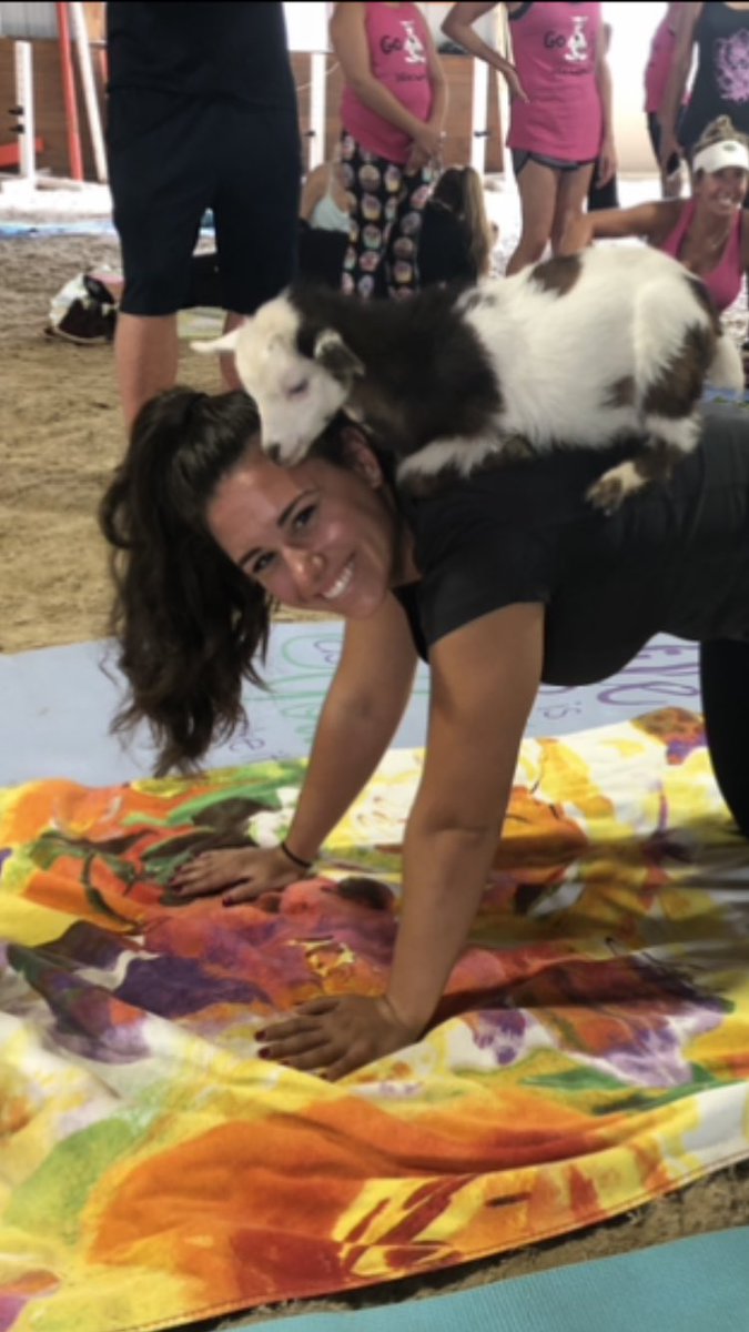 Day 4 of KCS Spirit Week!! Animal Day!! 🐐 This is a picture of me doing GOAT YOGA 🧘🏻‍♀️!! It was a lot of fun! #KCS @KeyportSchools