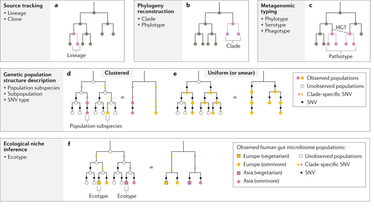 Nature Reviews Microbiology tweet media