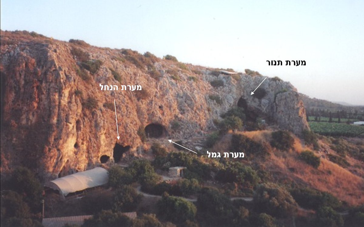 a close up of a rock mountain in the background

commons.wikimedia.org/w/index.php?cu…