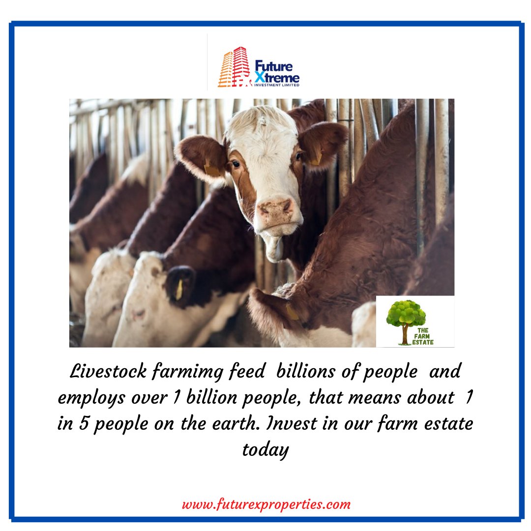fxproperties's tweet photo. #farming #farmestate #futurextreme #investment https://t.co/xdTj8jXjgW