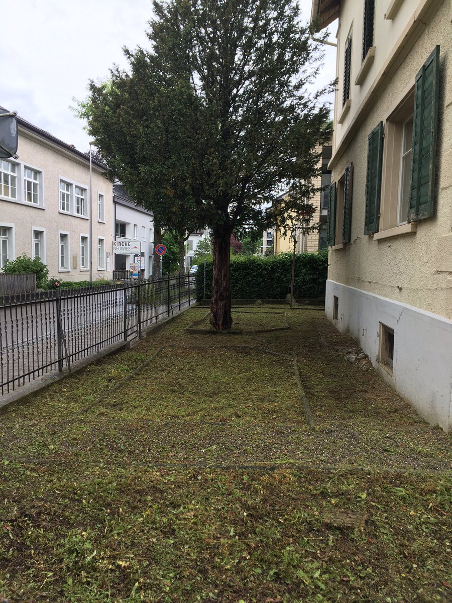 JullBTS's tweet photo. Fantastisch, diese bunten, blühenden Sommerwiesen. Unser Nachbarshaus gehört der Stadt - ihr Vorstellung von #Gartengestaltung:

#jullneverwritealone https://t.co/azCBQJnLU1