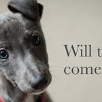 Photo by Maurice Turnor Gardner LLP (@MTG_LLP)