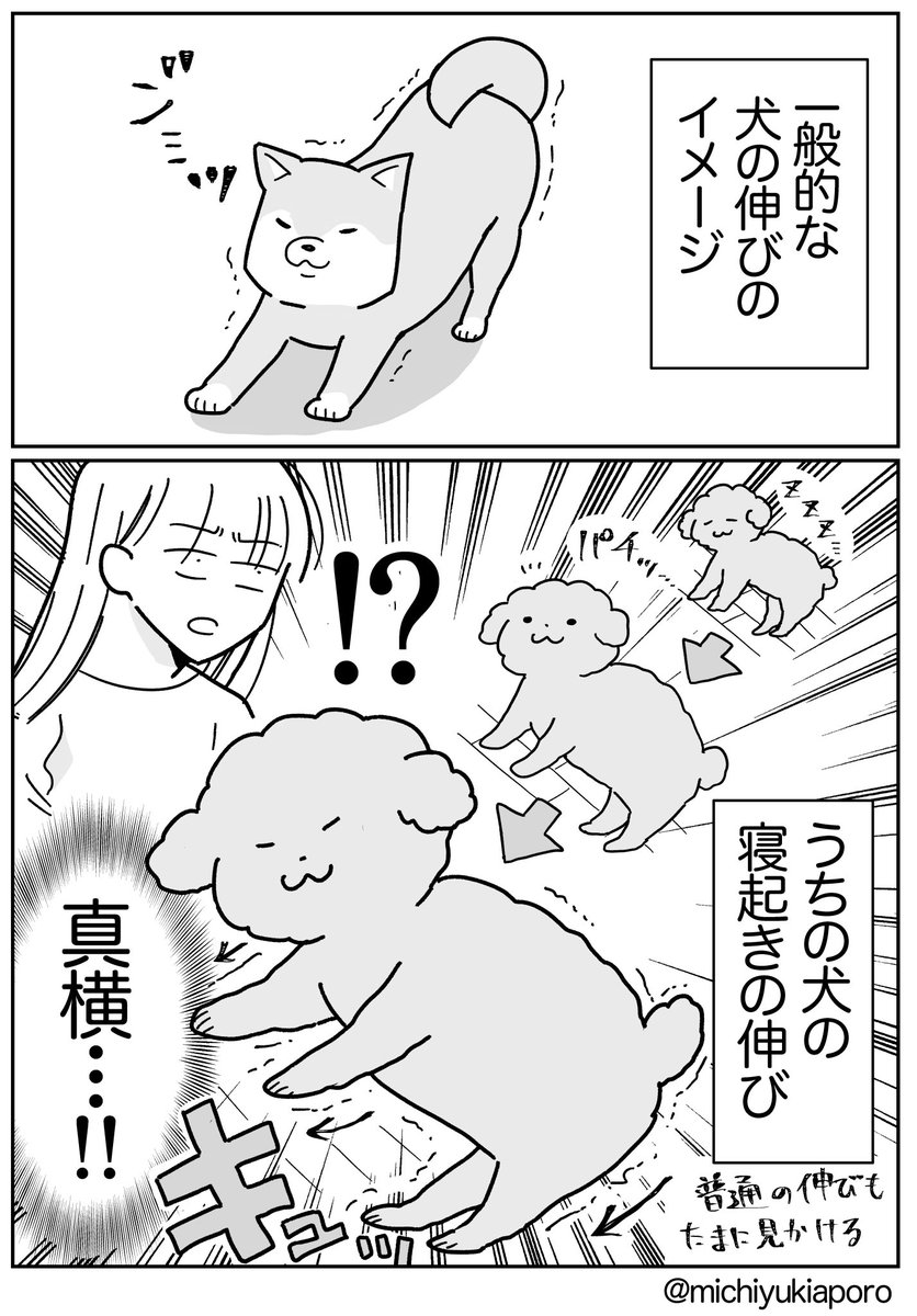 うちのイッヌの独特な伸びの仕方。
地味に人間っぽい。

他のうちの子もやるんだろうか・・・? 