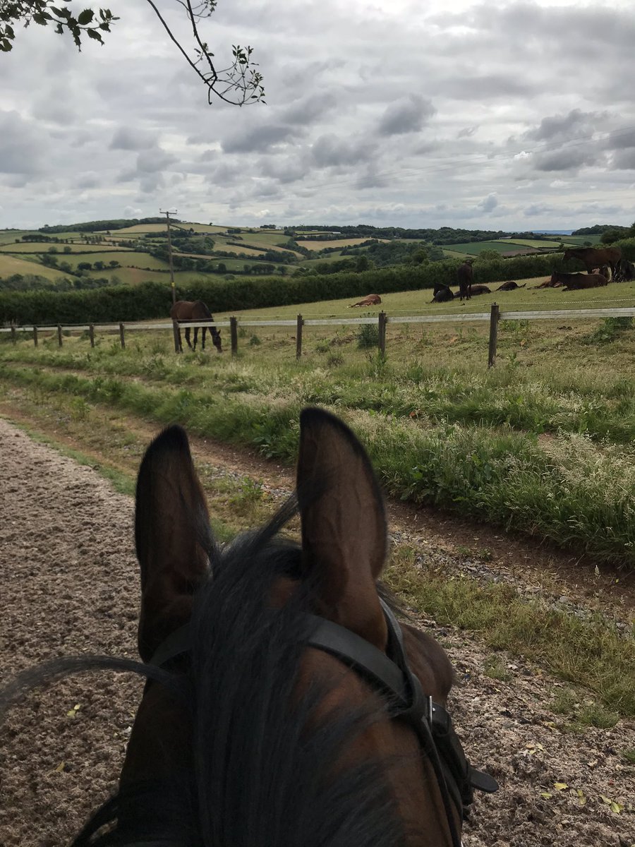 Call Me Sainte feeling like a ‘Key Worker’ this morning as she looks on at the winter jumps boys that are still furloughed for the time being! #Covid_19 #keyworkers #WINNER