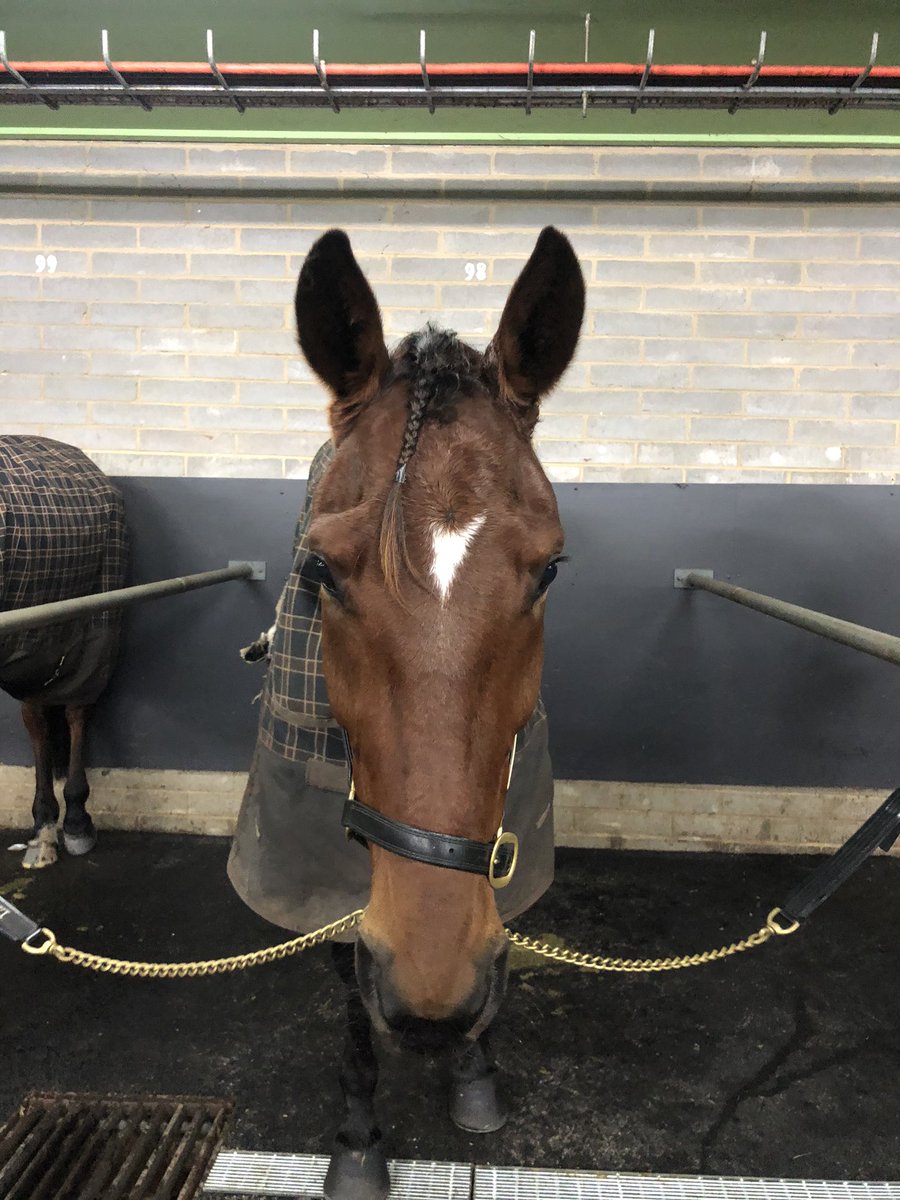 Rapt with KRAZE’s win in the Decoglaze Trotters Handicap. Congrats Matt & co!