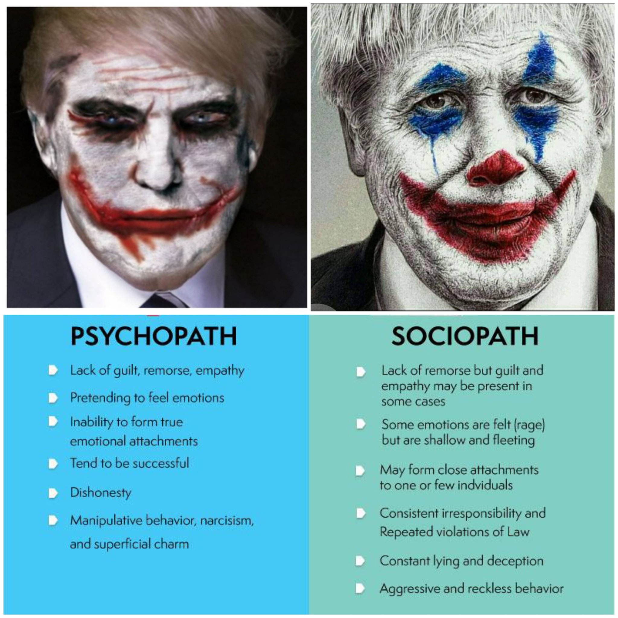 What Is a Psychopath?