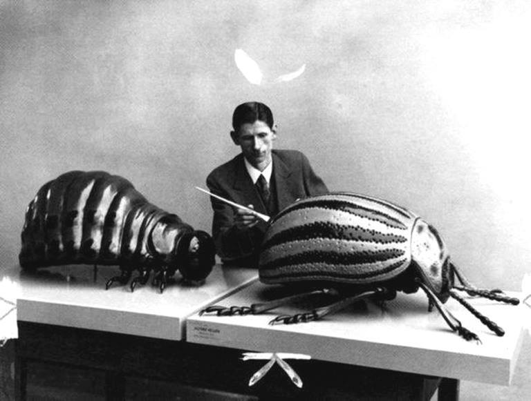 Un día normal en la vida de Kafka.