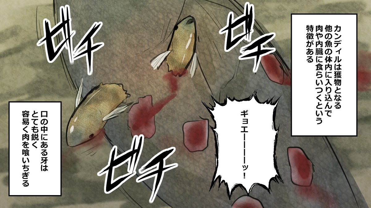 ダヴィンチアカデミー على تويتر 実在 襲われたら終了 地球に生息する超危険生物4選 毎年 人が犠牲に 動画版です T Co Ud2kd5a5l7