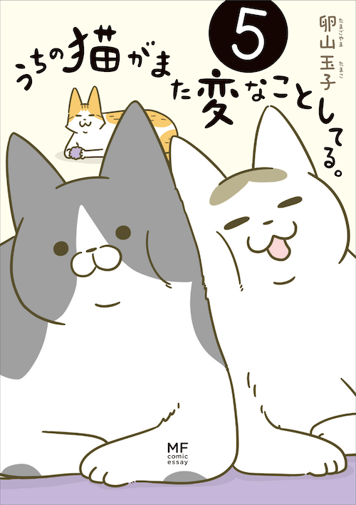 うちの猫がまた変なことしてる。5 
発売しましたー!
https://t.co/LtSZFKbXmo
漫画40ページくらい描き下ろしてます!タウロスの秘密も明らかに。 