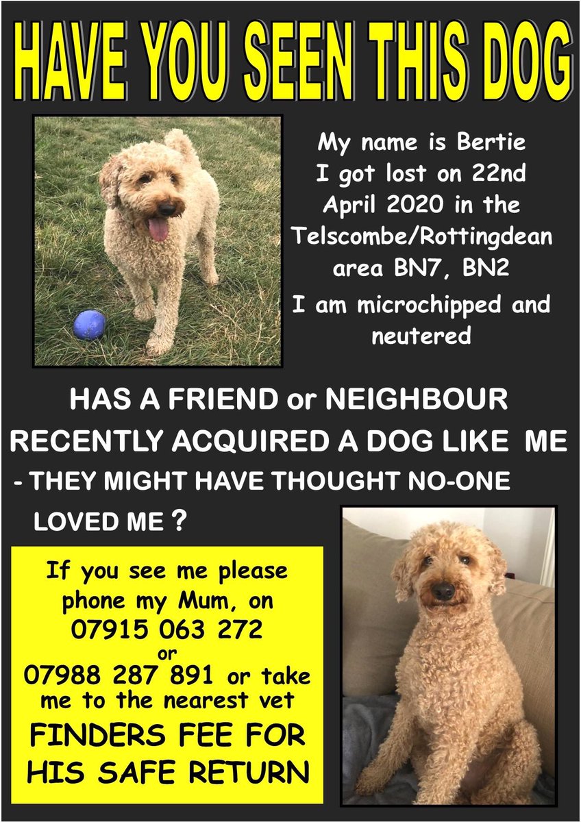 It really hurts 💔
It really hurts when we wake up 
It really hurts to think what he must be going through 
It really hurts how much we miss him
It really hurts when we come in the door and he’s not there

Please help us get that 1 📞 to #FindBertie 
Someone must know 🙏