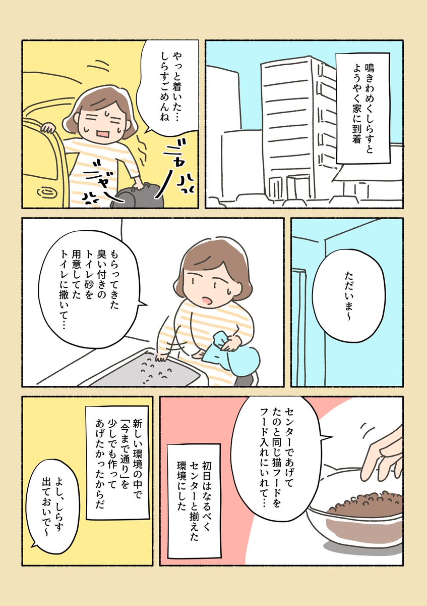 保護猫ちゃんを家に迎えるまでの話12

こんな感じで、しらすはうちの子になりました。
今日まで見て下さった方、ありがとうございます!
これからもしらす漫画描きまくるつもりなので、引き続き見守ってくれると嬉しいです( ' ▽ ` )ノ 