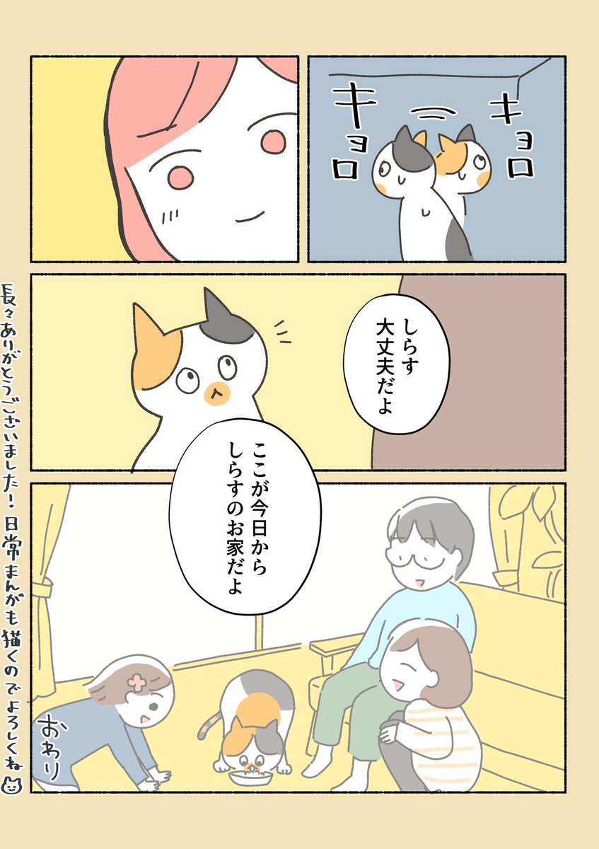 保護猫ちゃんを家に迎えるまでの話12

こんな感じで、しらすはうちの子になりました。
今日まで見て下さった方、ありがとうございます!
これからもしらす漫画描きまくるつもりなので、引き続き見守ってくれると嬉しいです( ' ▽ ` )ノ 