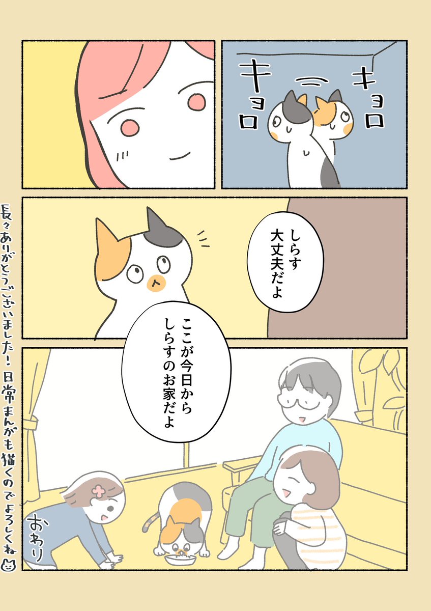 漫画 保護猫ちゃんを家に迎えるまでの話 が泣けるし勉強になるし猫さんがかわいいしでとりあえず見てほしい Togetter 漫画 保護猫ちゃんを家に迎えるまでの話 が泣けるし勉強になるし猫さんがかわいいしでとりあえず見てほしい Togetter