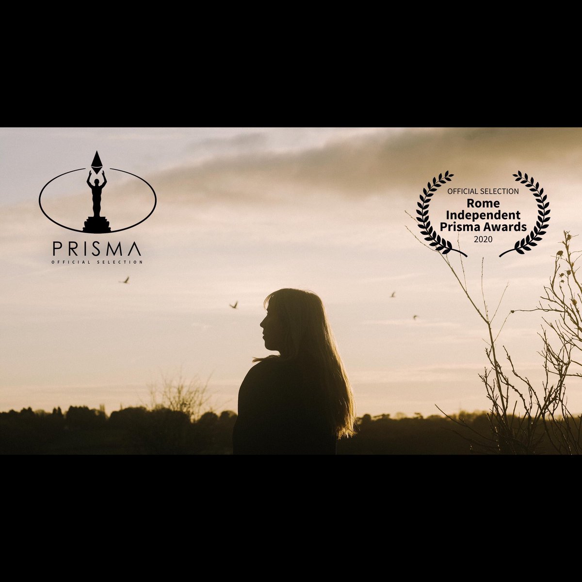 BackboneTheatre's tweet photo. Thanks to Rome Independent Prisma Awards, @flickfair and @liftoffnetwork for supporting our short films Koschei the Deathless and Below The Hills this week. 🙏We’re thrilled. https://t.co/uSmTMj6m32