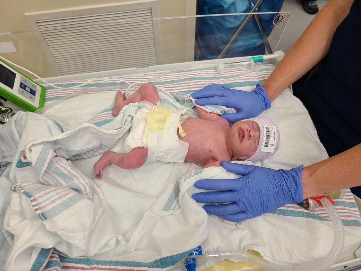 SamPrice112's tweet photo. Sharing my new babies with the world right now because I think we all need a little positivity. Lyla Heather and Laya Aurora born 6/2/20 💞💞 https://t.co/nDclndIkfw