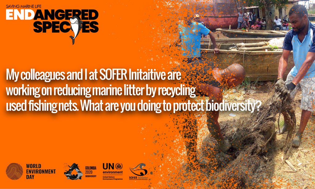 SOFERInit's tweet photo. What are you doing to protect biodiversity? @NaturalisMarine @UNBiodiversity @TEEB4ME @IPBES @WHO @PTES #ecology #ecosystems #ForNature #Environment #WorldEnvironmentDay2020 #Naturebasedsolutions #endangeredspecies #SOFERInitiative #BiodiversityDay2020 #biodiversity #FNGN https://t.co/3CzEGviqRZ
