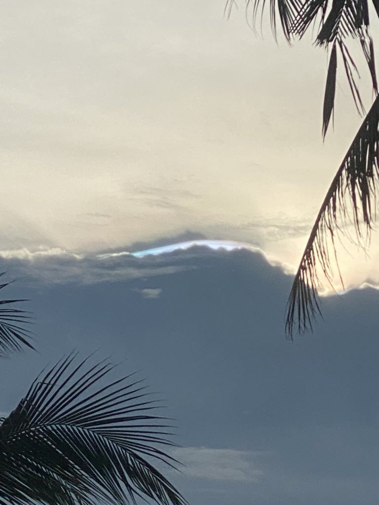 Domehome__'s tweet photo. ✨🤸🏻🐠🌊🏝
#MyCloudsForDome https://t.co/dVCv2n15om