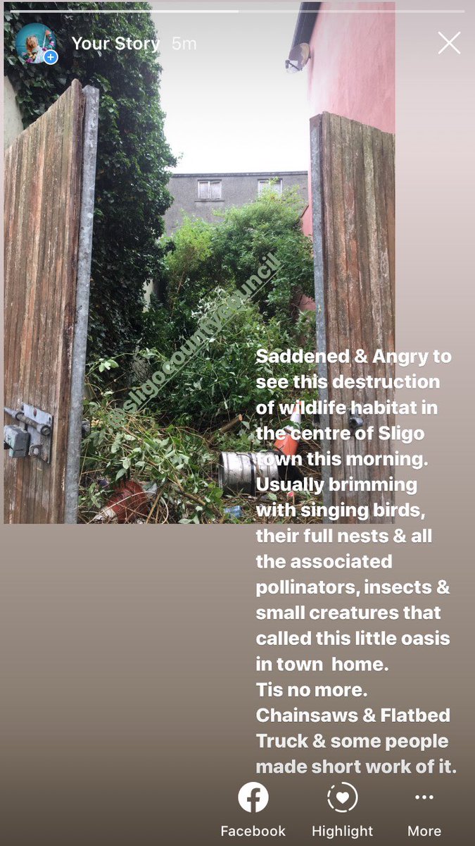 Amuigh Faoin Aer tweet media