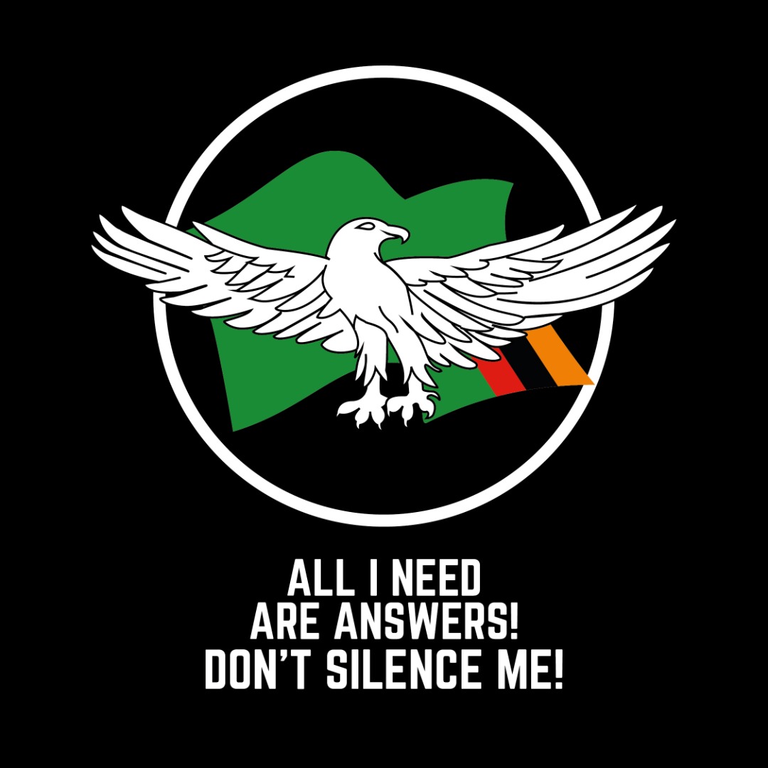 bflowmusic's tweet photo. "STUPIDITY", "NONSENSE", "DISGRUNTLED YOUTHS" etc are some of the words our leaders are using to describe people who speak out for the voiceless. When you use abusive language to threaten activists, you disrespect the general citizenry who have no platform to air their views. https://t.co/itGuN6e1NO