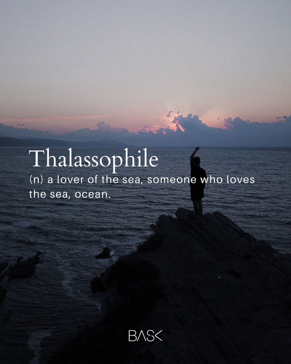 Bask (@baskbrand) on Twitter photo 