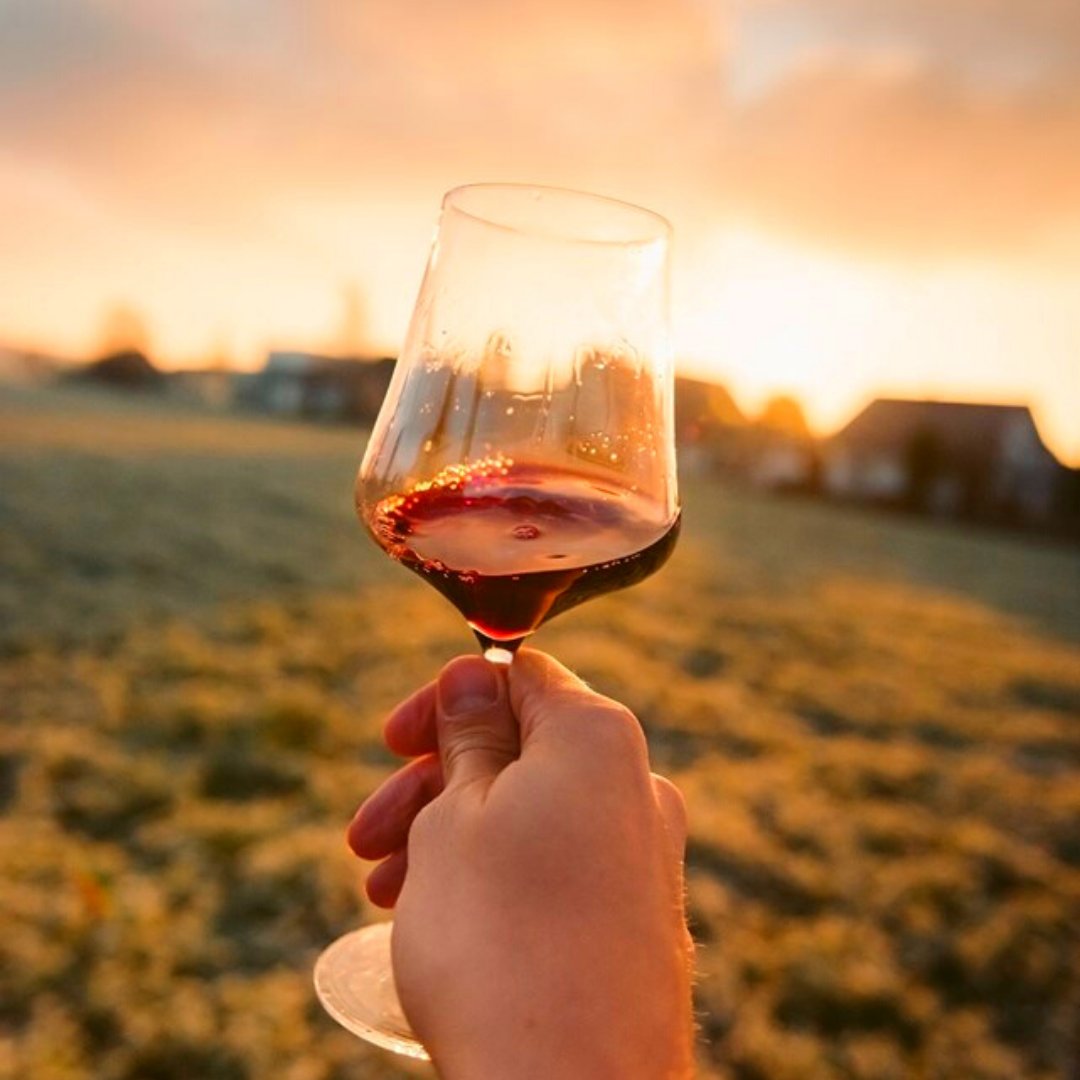 costablancaorg's tweet photo. La @rvalicante llega a tu casa 🍷🏠 Apúntate a #LaRutaDesdeTuCasa y participa en catas virtuales
📌 Próx edición: Mañana viernes 19hrs, con #BodegasPinoso, @VinosManan y #FincaCollado.
📌 Inscripción: https://t.co/HxWnuhSonJ
📌 Vinos a catar: https://t.co/dPnyRBBGTU
#CostaBlanca https://t.co/k1bYR2f83M