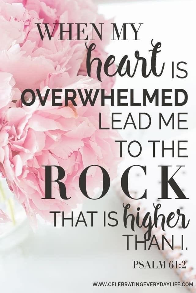 Angelmom337's tweet photo. https://t.co/mAfKXBG3x4