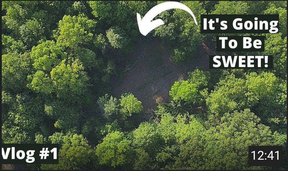 ManOverBeast's tweet image. VLOG: A New Food Plot Start to Finish:
youtu.be/6UeTmgZObEw