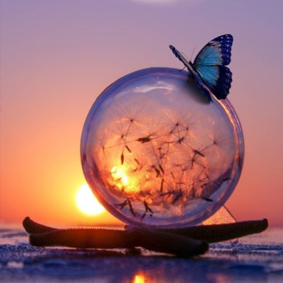 mdroni509's tweet photo. #NewProfilePic https://t.co/oCeEXjId0O