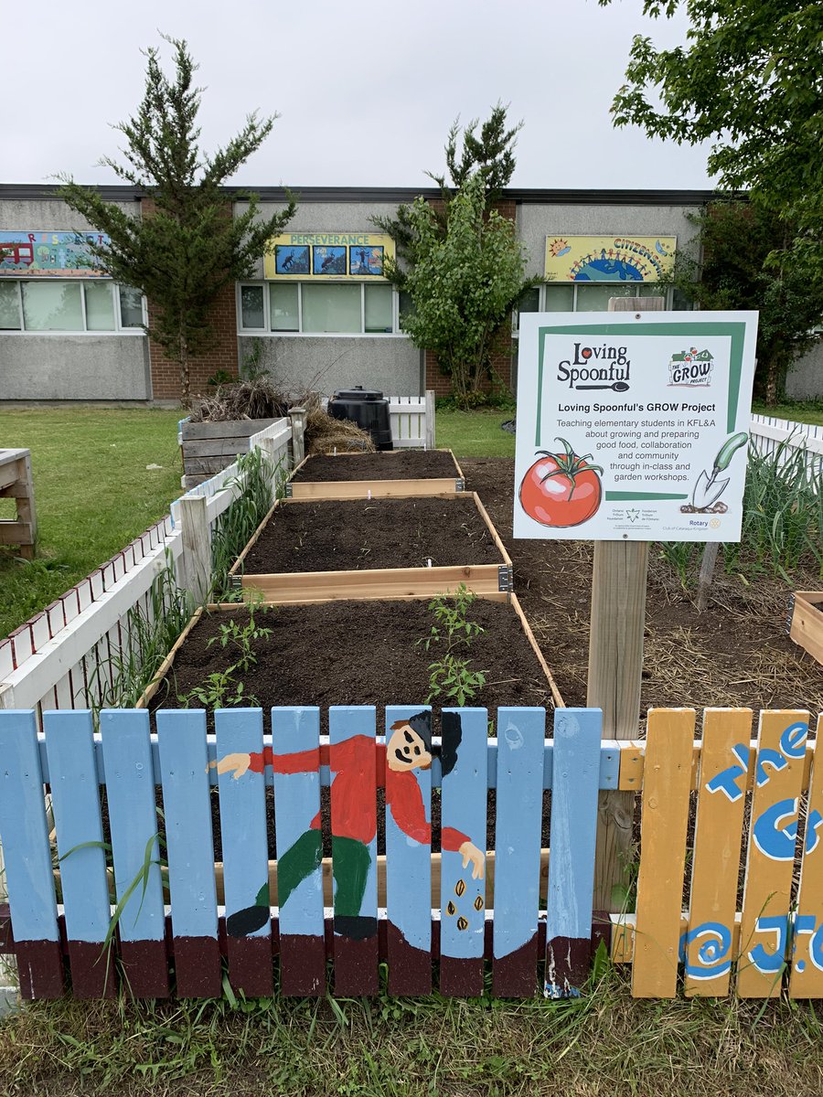 JGSimcoe_LDSB's tweet photo. So many veggies growing in our #growgarden @JGSimcoe_LDSB 🥬🍅A big shout out to @lspoonful for supporting our garden and community #gratitude  #wellness https://t.co/xv1gp4sskl