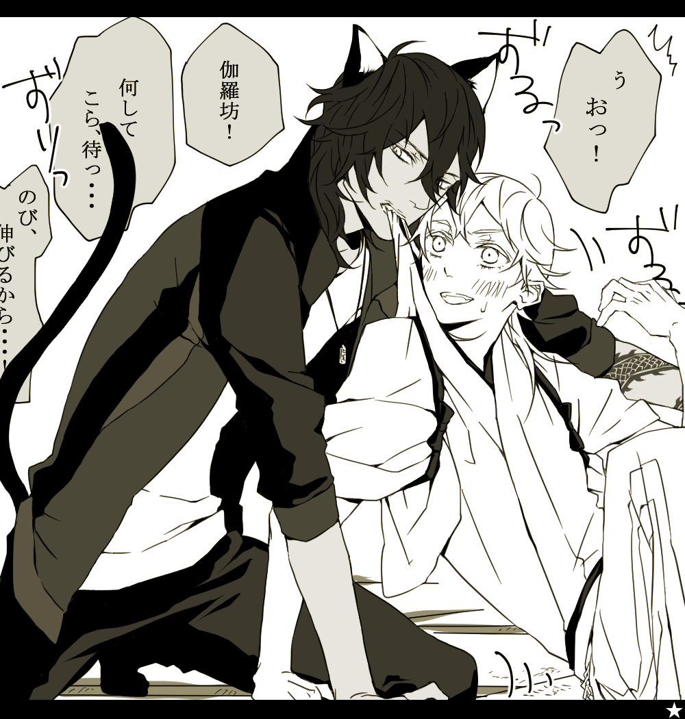 大切なものは隠しちゃう猫伽羅ちゃん 